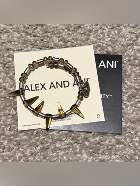 Alex and Ani Spike Beaded Bangle